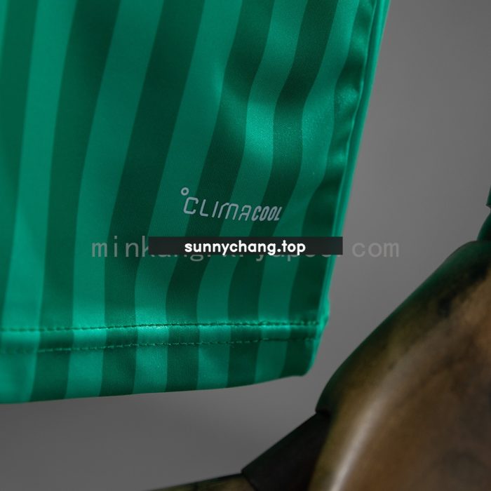 Algeria 2026 Away Jersey - 图片 3