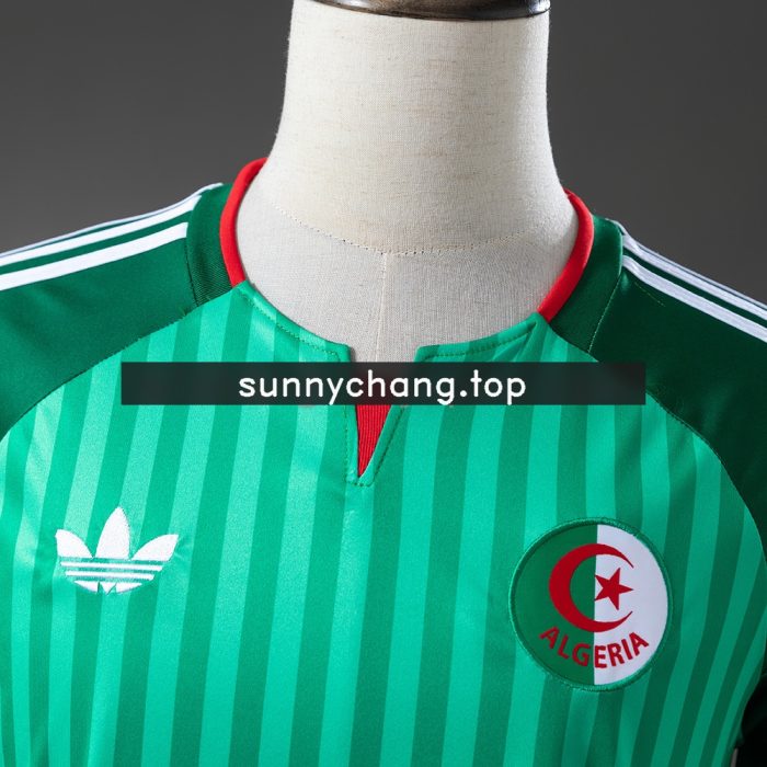 Algeria 2026 Away Jersey - 图片 7