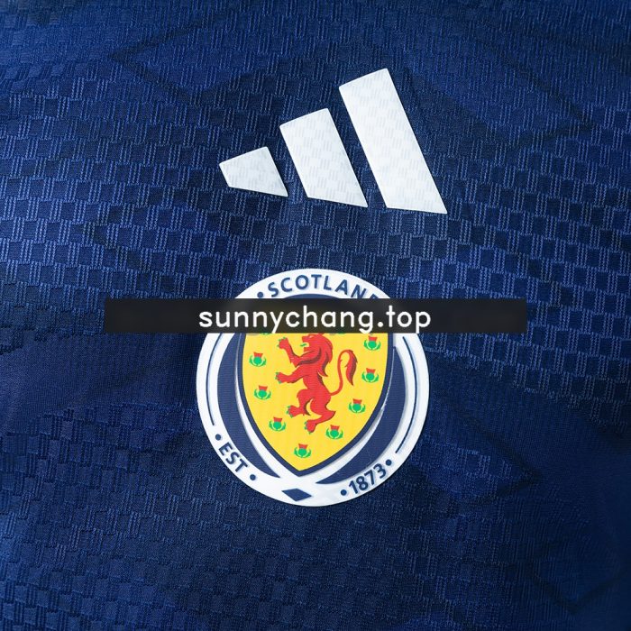 Scotland 2026 Home Player Version Jersey - 图片 6