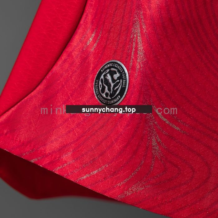 Switzerland 2026 Home Player Version Jersey - 图片 4