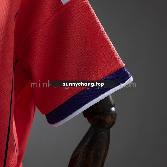 Scotland 2026 Away Kids Kit Jersey - 图片 5