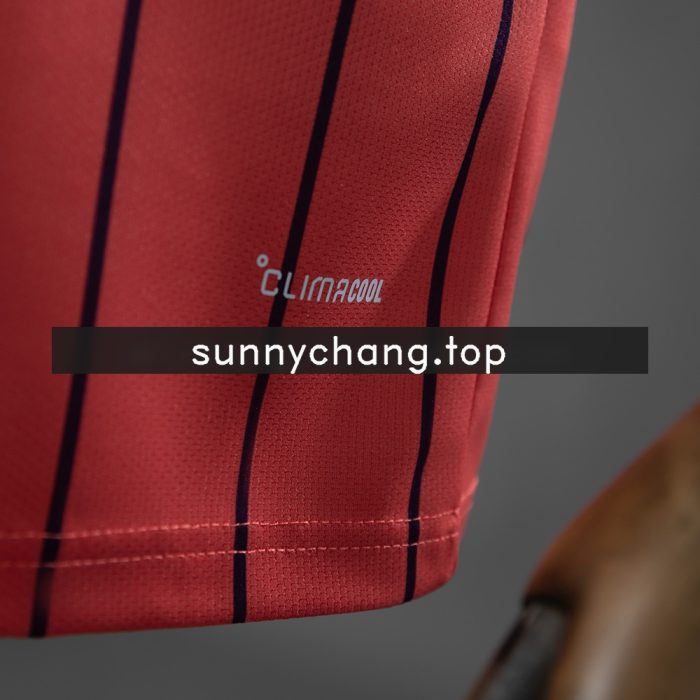 Scotland 2026 Away Jersey - 图片 3