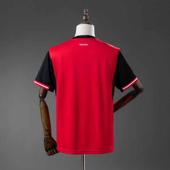 Austria 2026 Home Jersey - 图片 2