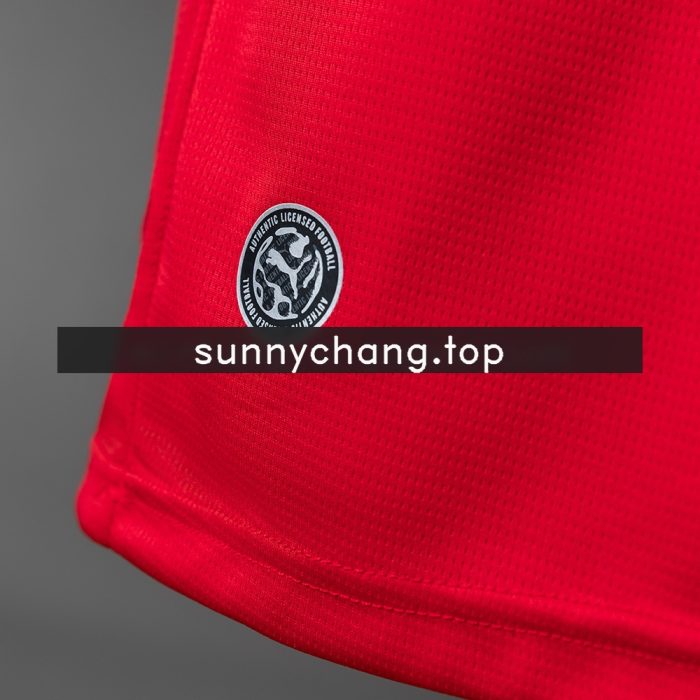Austria 2026 Home Jersey - 图片 3