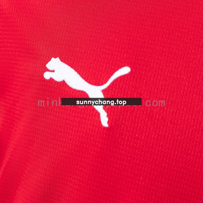 Austria 2026 Home Jersey - 图片 6