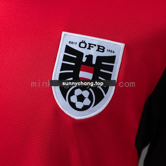 Austria 2026 Home Jersey - 图片 7