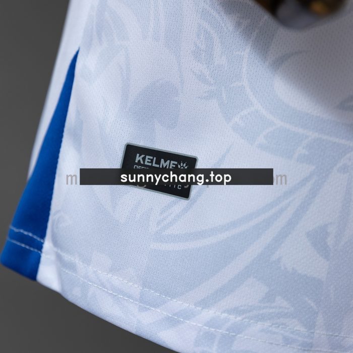 Bosnia & Herzegovina 2026 Away Jersey - 图片 4