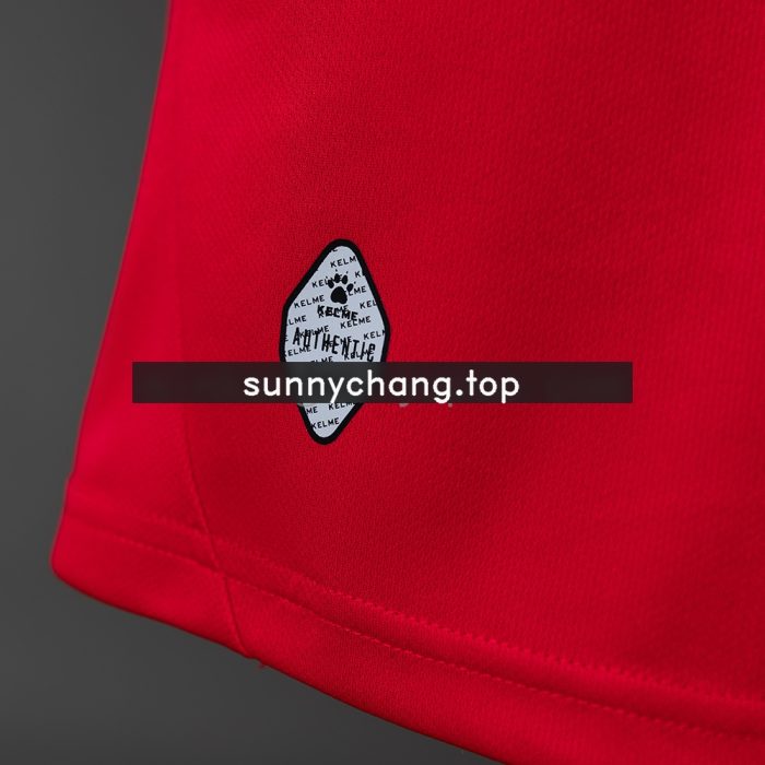 Jordan 2026 Away World Cup Jersey - 图片 4