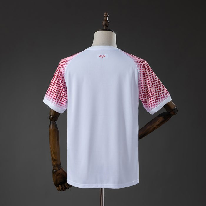 Jordan 2026 Home World Cup Jersey - 图片 2
