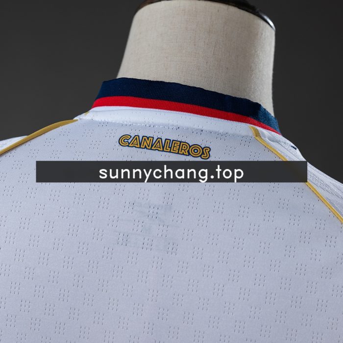 Panama 2026 Away Jersey - 图片 3