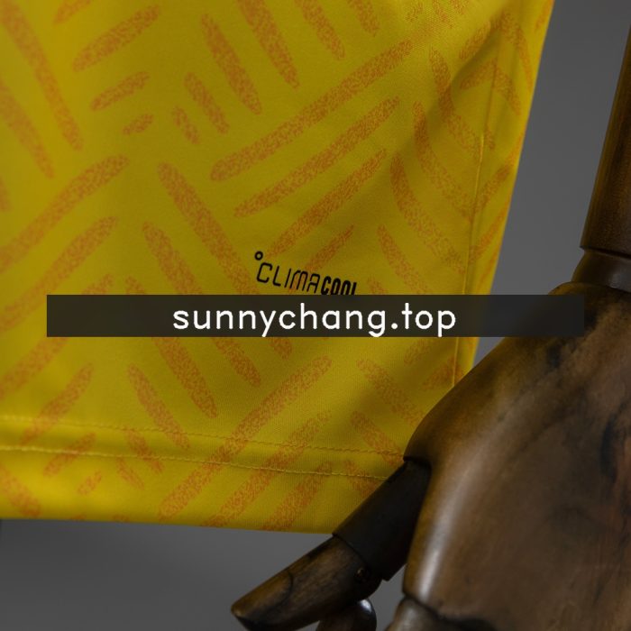 South Africa 2026 Home Jersey - 图片 3