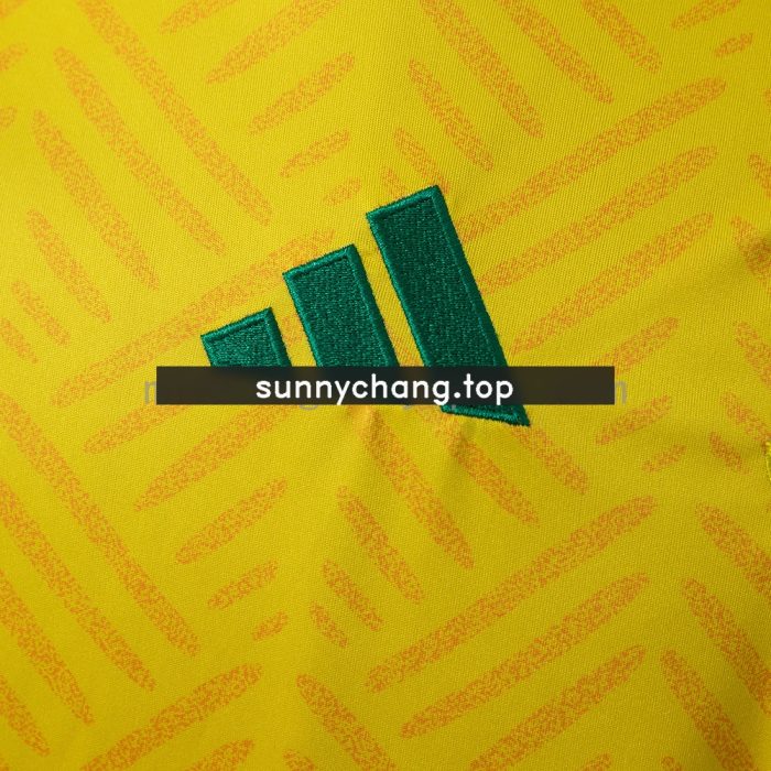 South Africa 2026 Home Jersey - 图片 7