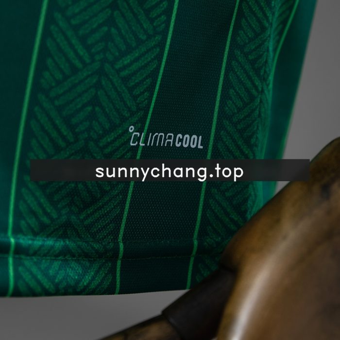 South Africa 2026 Away Jersey - 图片 3