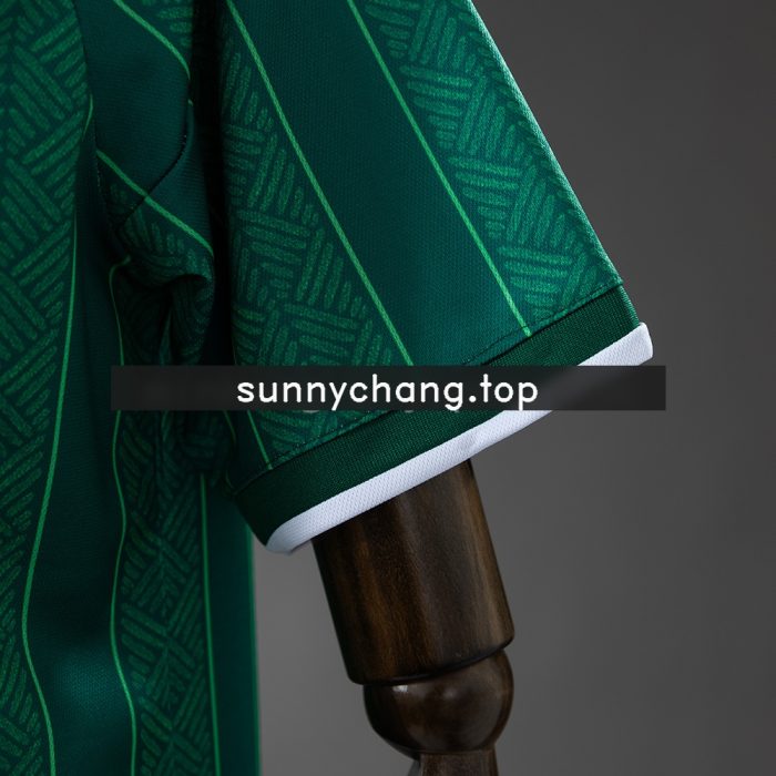 South Africa 2026 Away Jersey - 图片 4