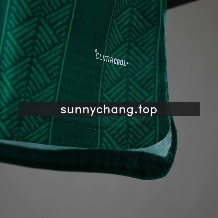 South Africa 2026 Away Player Version Jersey - 图片 4
