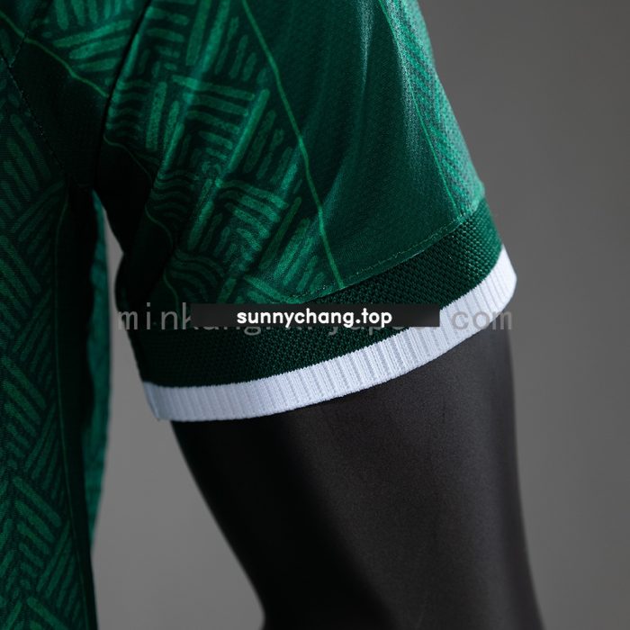 South Africa 2026 Away Player Version Jersey - 图片 6