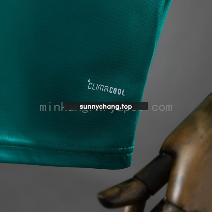 Northern Ireland 2026 Home Jersey - 图片 3