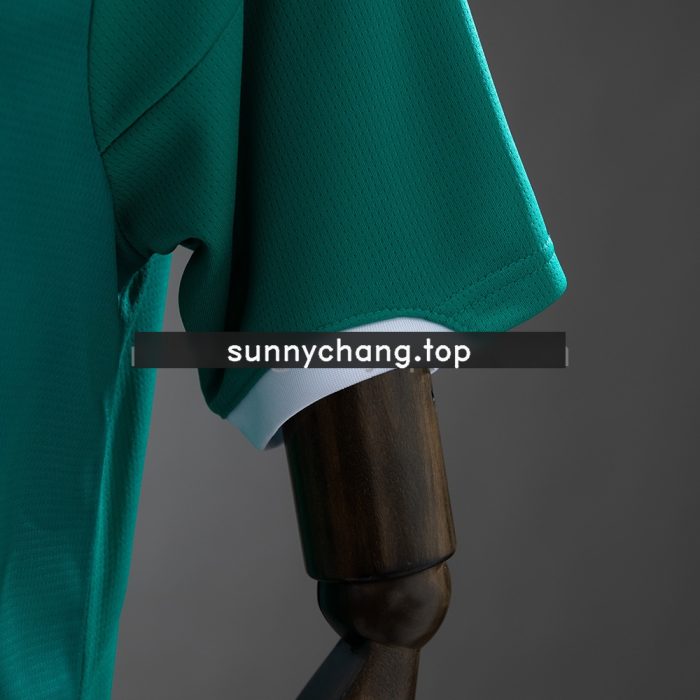 Northern Ireland 2026 Home Jersey - 图片 4
