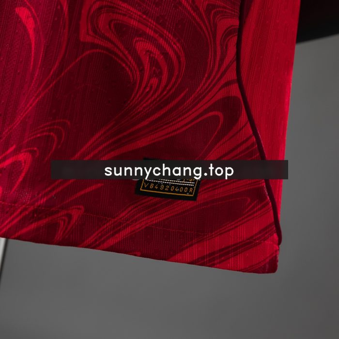 Turkiye 2026 Home Player Version Jersey - 图片 5