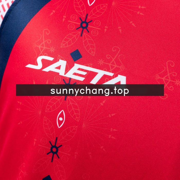 Haiti 2026 Third Away Jersey - 图片 6