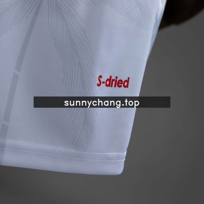 Haiti 2026 Away Jersey - 图片 3