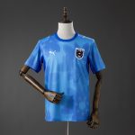 Austria 2026 Away Jersey