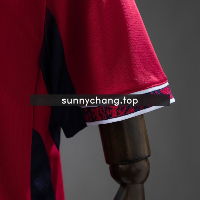 Czech Republic 2026 Home Jersey - 图片 5