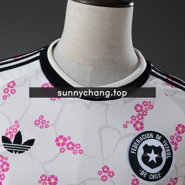 Chile 2026 Away Jersey - 图片 8