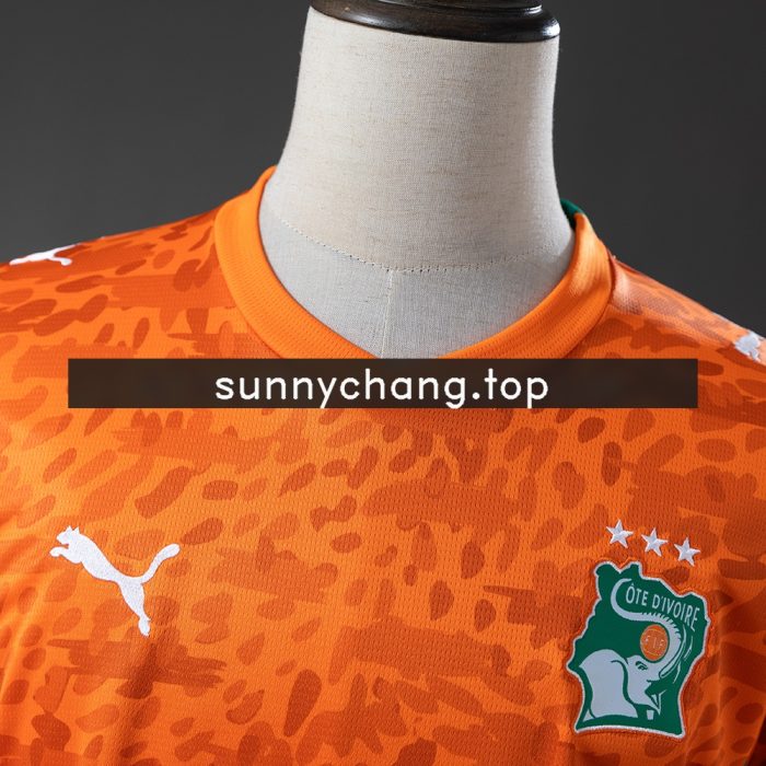 Ivory Coast 26/27 Home Jersey - 图片 8