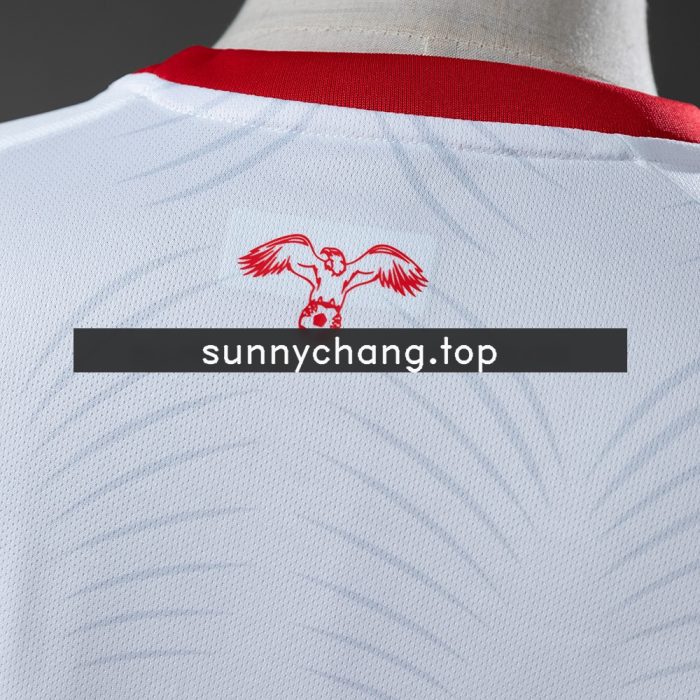 Jordan 2026 Home Jersey - 图片 3