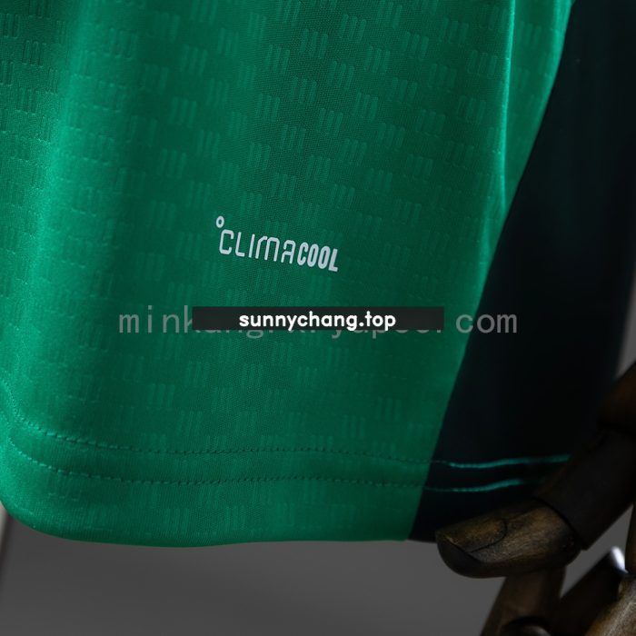 Algeria 2026 Training Green Jersey - 图片 3