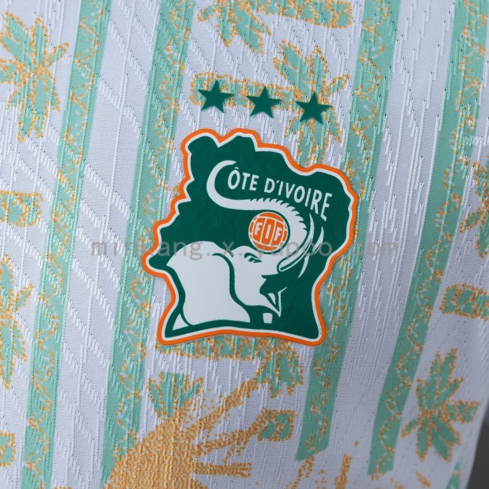 Ivory Coast 2026 Away Player Version Jersey - 图片 8