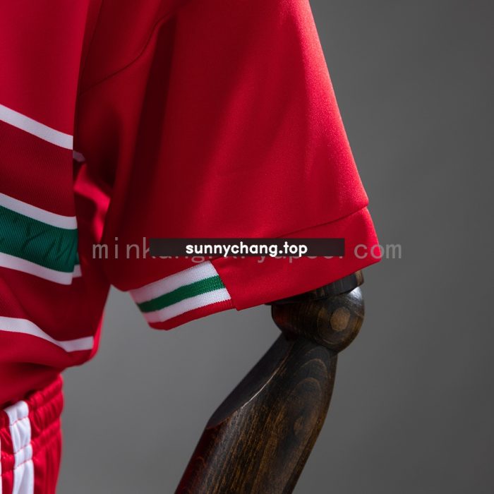 Wales 2026 Home Kids Kit Jersey - 图片 4