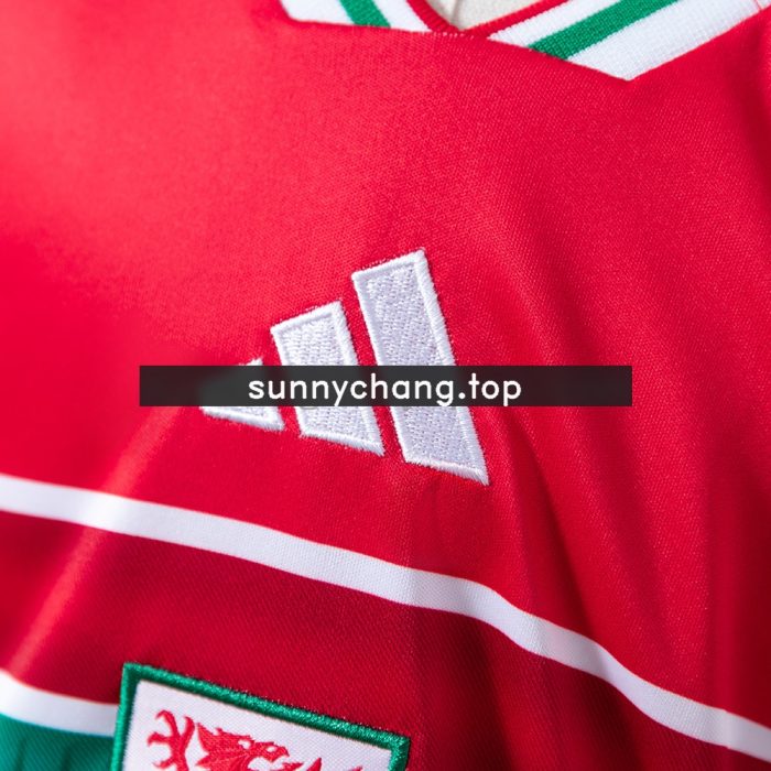 Wales 2026 Home Kids Kit Jersey - 图片 5