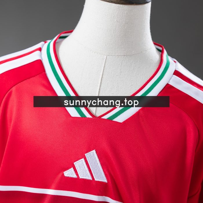 Wales 2026 Home Kids Kit Jersey - 图片 7