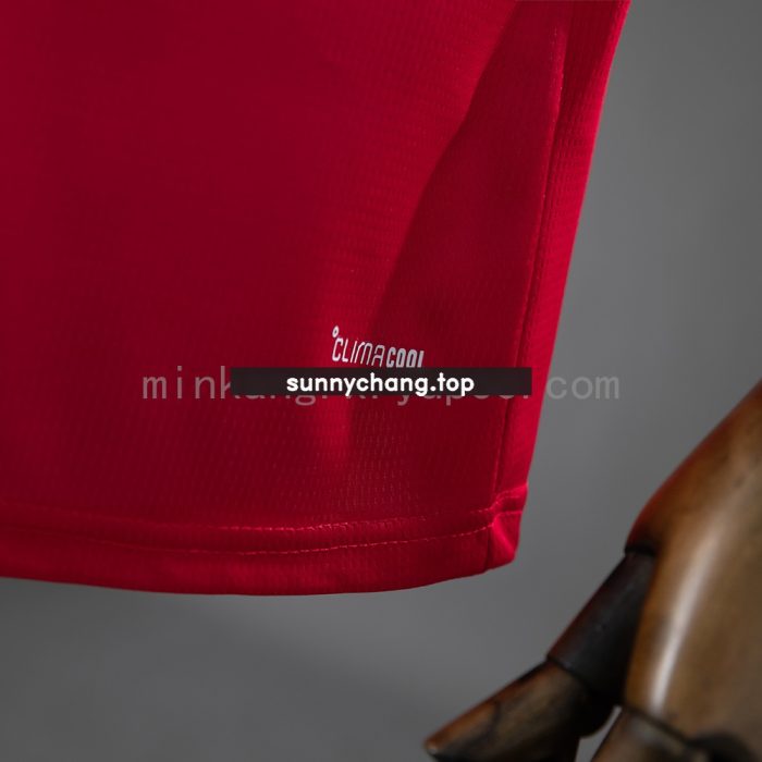 Wales 2026 Home Jersey - 图片 3