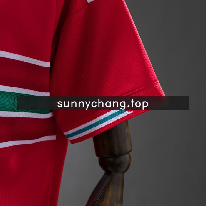 Wales 2026 Home Jersey - 图片 4
