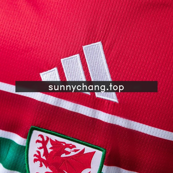 Wales 2026 Home Jersey - 图片 5
