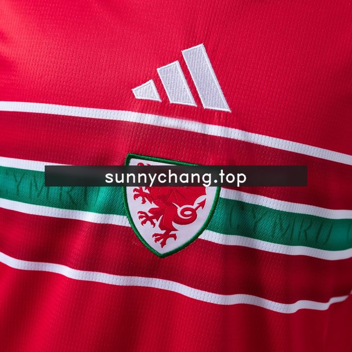 Wales 2026 Home Jersey - 图片 6