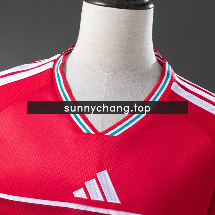 Wales 2026 Home Jersey - 图片 7
