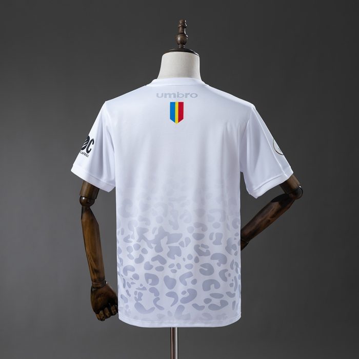Congo 2026 White Jersey - 图片 2