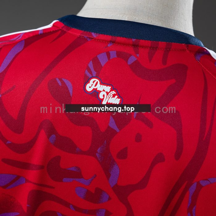 Costa Rica 2026 Home Jersey - 图片 8