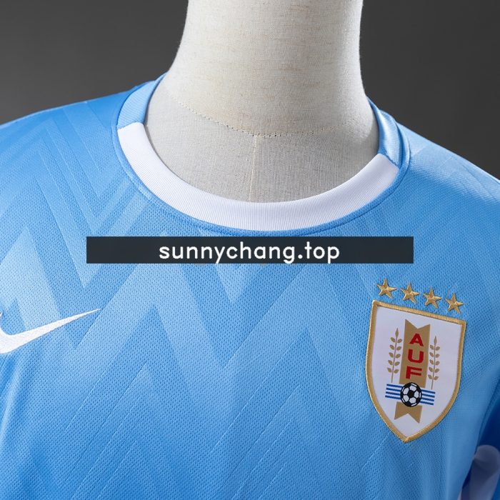 Uruguay 2025 Home Jersey S-4XL - 图片 7