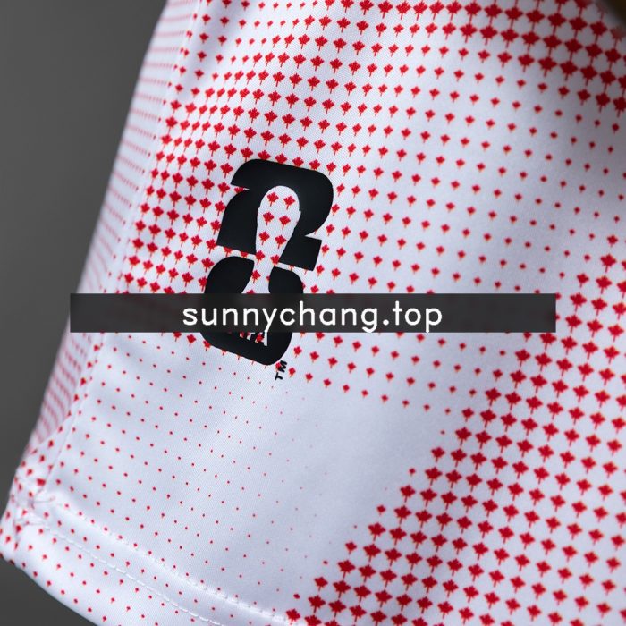 Canada 2026 Promotional Pink Jersey - 图片 2