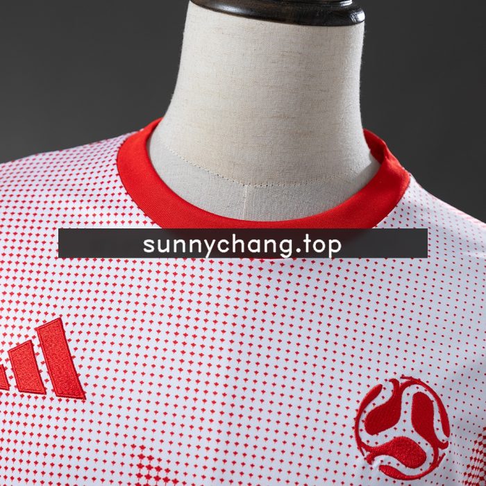 Canada 2026 Promotional Pink Jersey - 图片 8