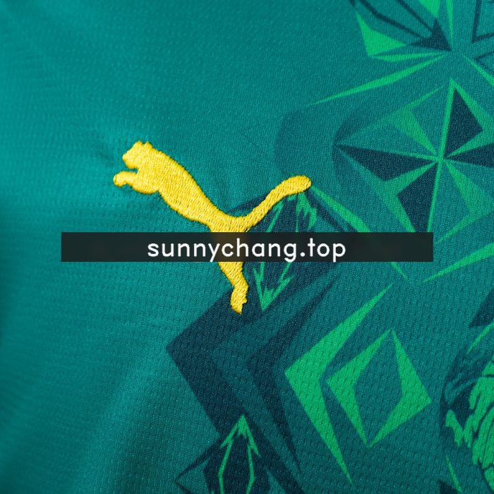 Senegal 2026 Away Jersey - 图片 6