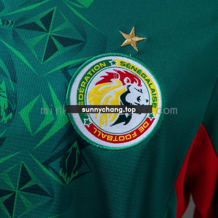Senegal 2026 Away Jersey - 图片 7