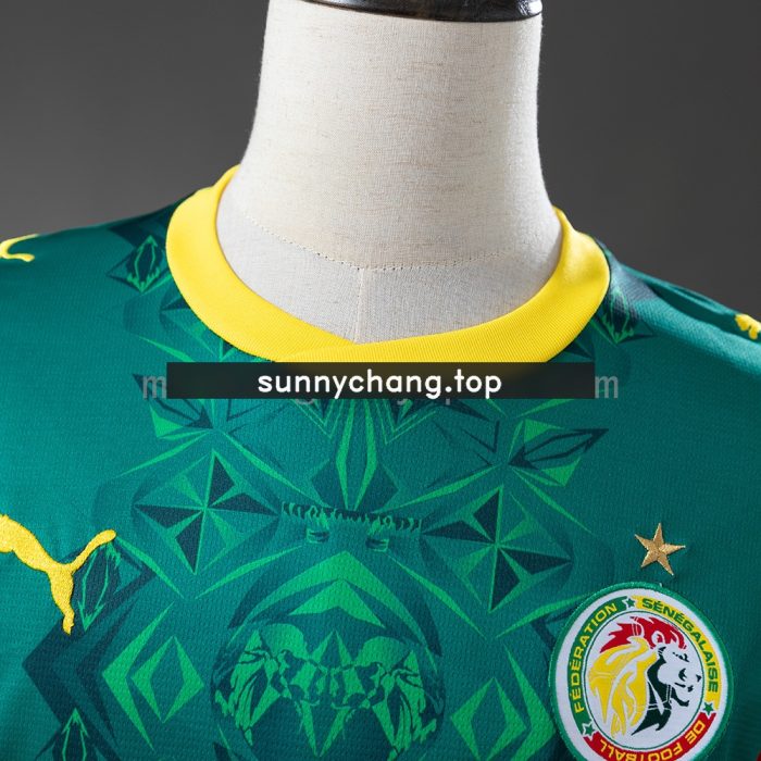 Senegal 2026 Away Jersey - 图片 8