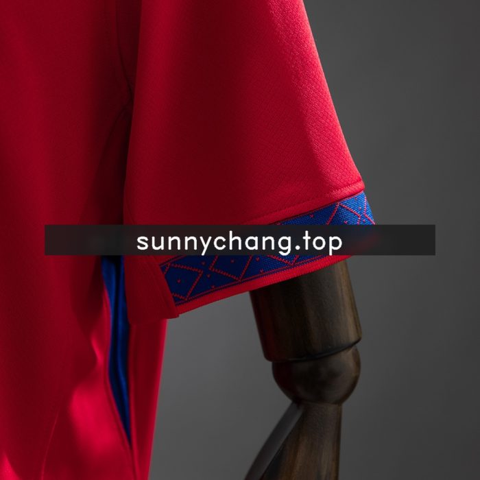 Norway 2026 Home Jersey - 图片 4