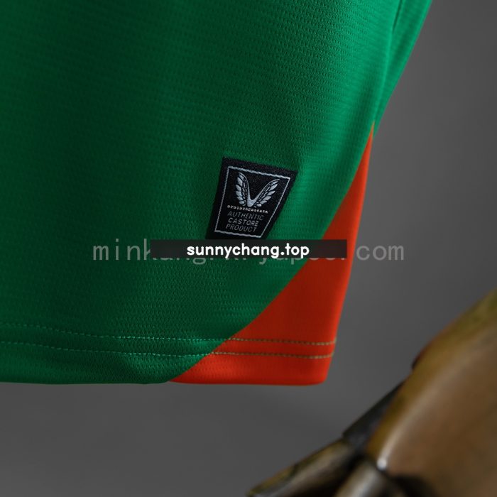 Ireland 25/26 Home Jersey - 图片 2